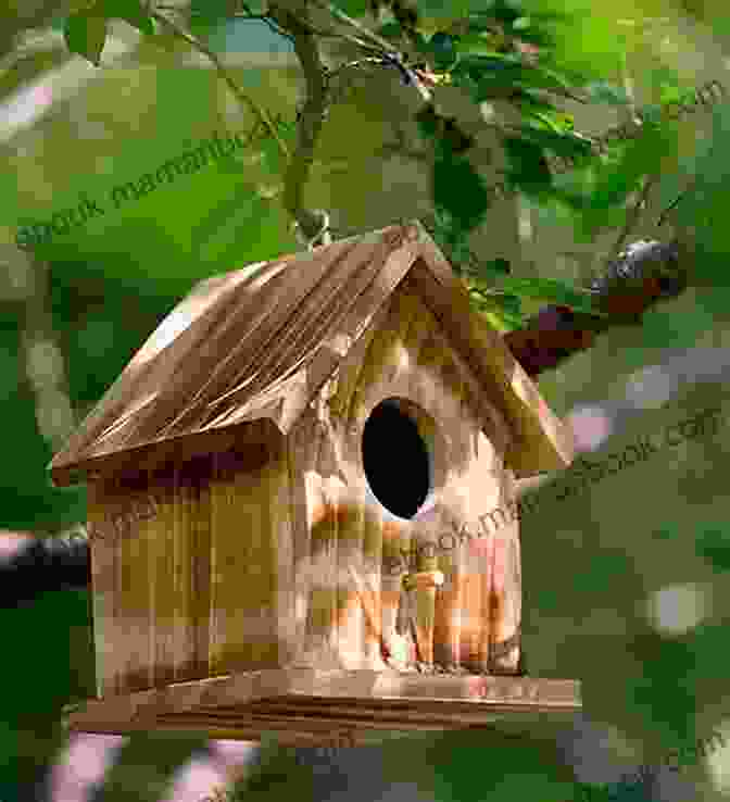 A Birdhouse Made From Wood Gardening Lab For Kids: 52 Fun Experiments To Learn Grow Harvest Make Play And Enjoy Your Garden