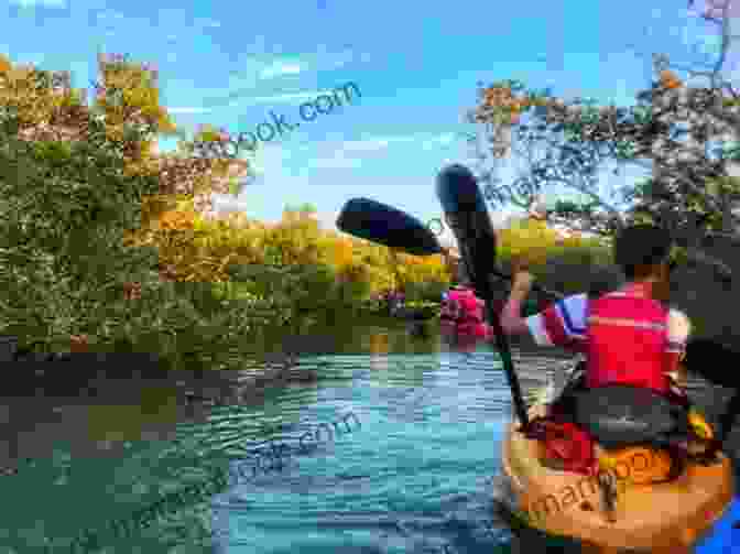 A Group Of People Kayaking Through A Mangrove Forest COASTAL CATS: Coastal Adventure Number 5