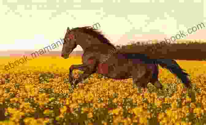 A Horse Galloping Across A Field The Magic Of The Horse