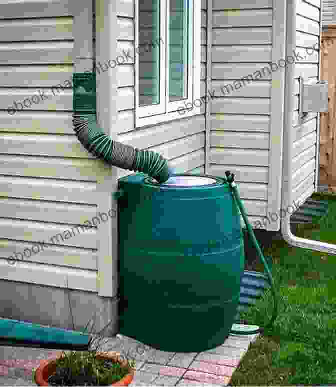 A Rain Barrel Attached To A Downspout Gardening Lab For Kids: 52 Fun Experiments To Learn Grow Harvest Make Play And Enjoy Your Garden