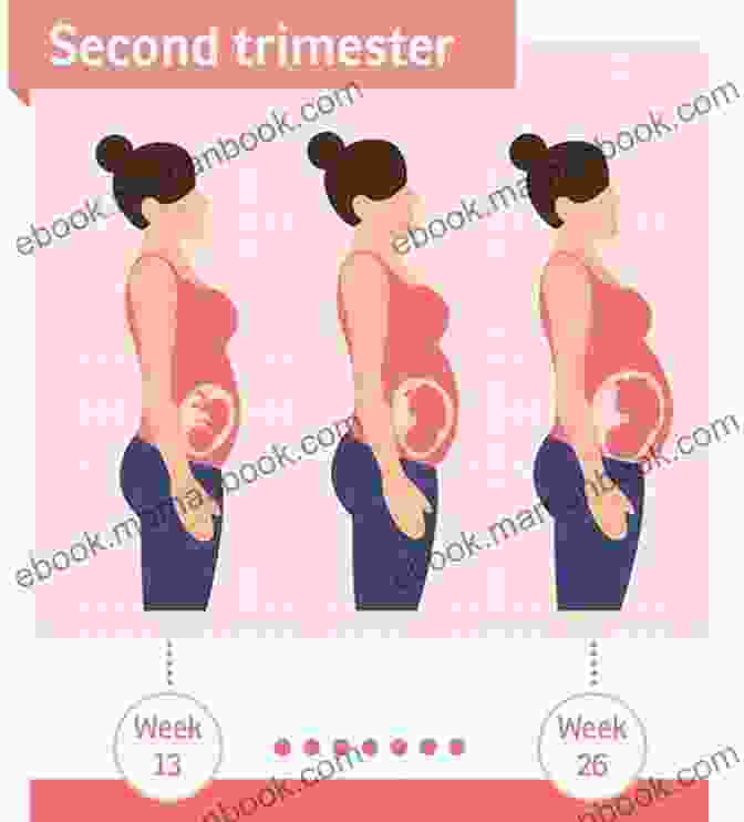 Second Trimester: Blossoming With Vitality My Active Pregnancy: A Memoir Of My Trimesters