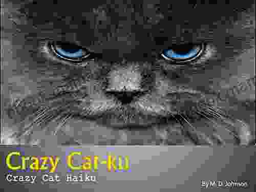 Crazy Cat Ku Crazy Cat Haiku