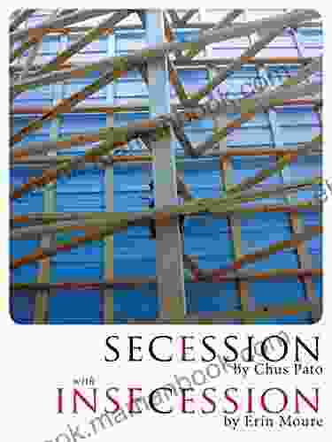 Secession/Insecession Nicola Aliani